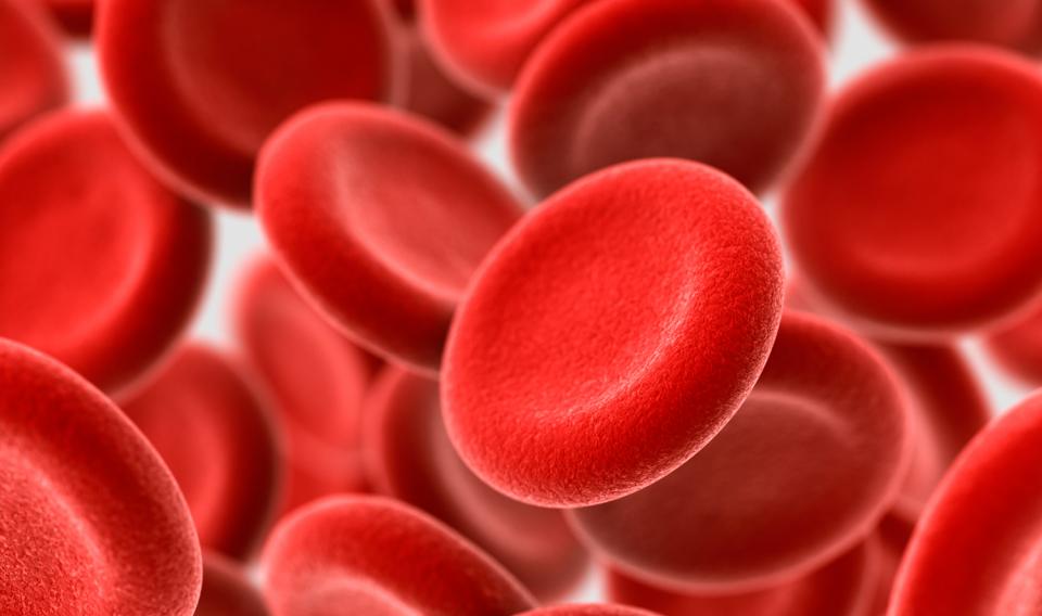 FDA Warning Against “Young Blood” Infusions Prompts Monterey-Based Startup to Halt Treatments
