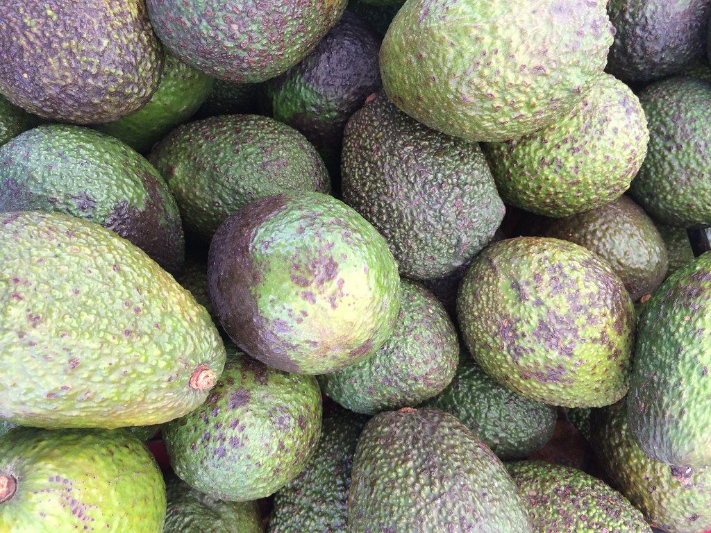 Trump’s Border Closure Could Leave Us Out of Avocados Within Three Weeks