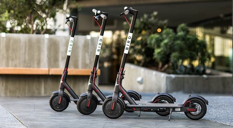 Bird Scooters Return To SF Streets Via Monthly Rental Loophole