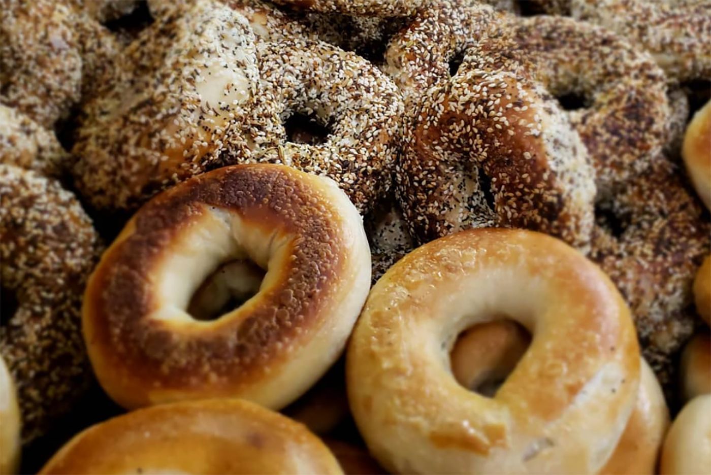 Who Makes The Best Bagel In the Bay Area? A Chronicle Tasting Panel