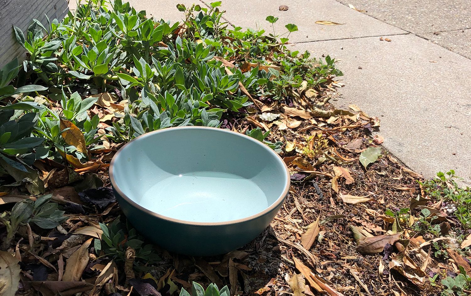 Photo Du Jour: In Noe Valley, Even The Dog Bowls Are From Heath