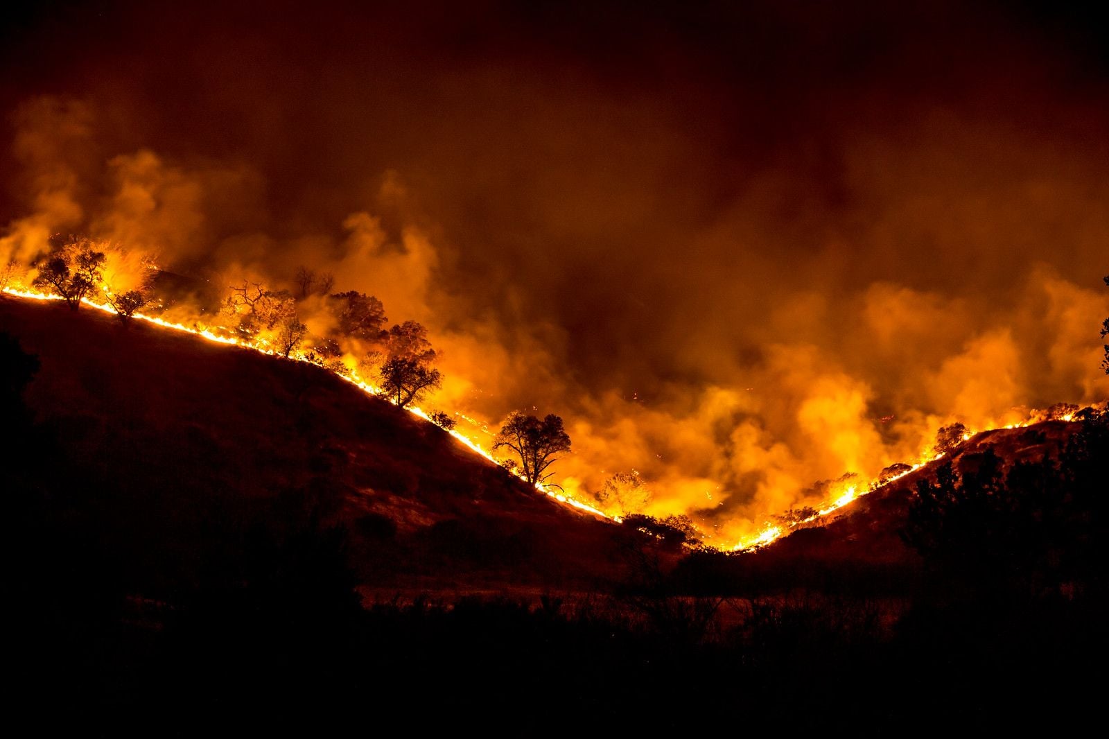 Wildfire Season Already Proving Costly and Stressful As NorCal Fires Begin To Arrive