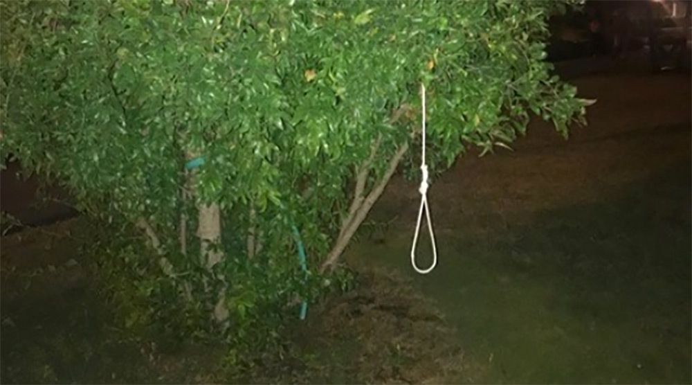 Day Around The Bay: Stanford Investigates A Noose Hanging From a Tree