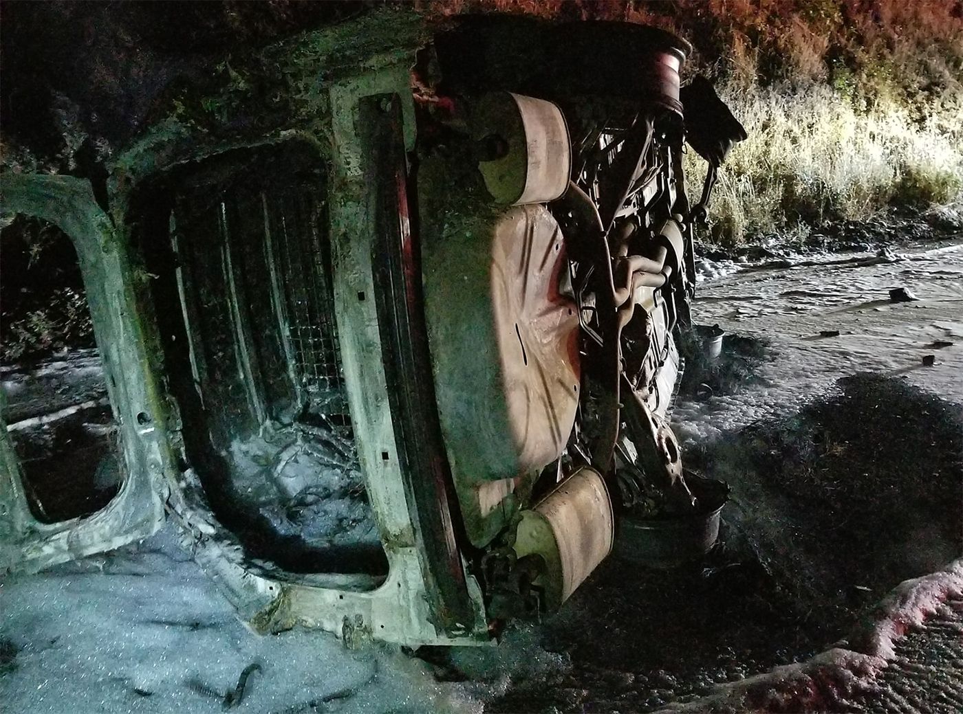 Bear Falls Off Embankment Onto Patrol Car, Causing Crash and Wildfire In Humboldt County