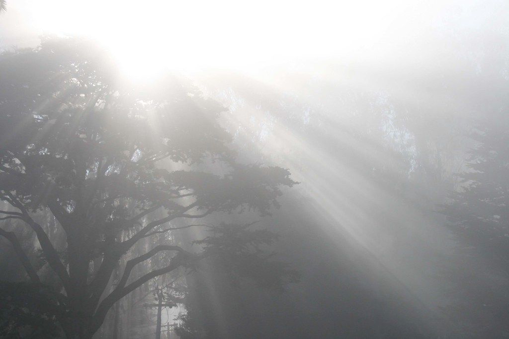 FogCam, The World’s Oldest Webcam, To Shut Off August 30