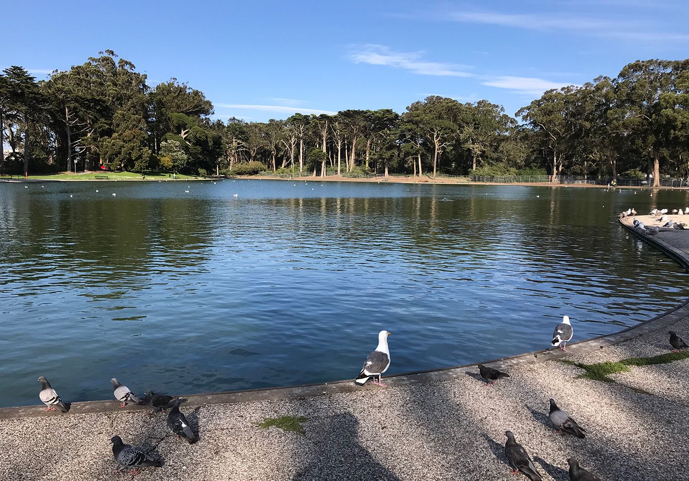 Day Around the Bay: Outside Lands Adds More Cops, Security Personnel
