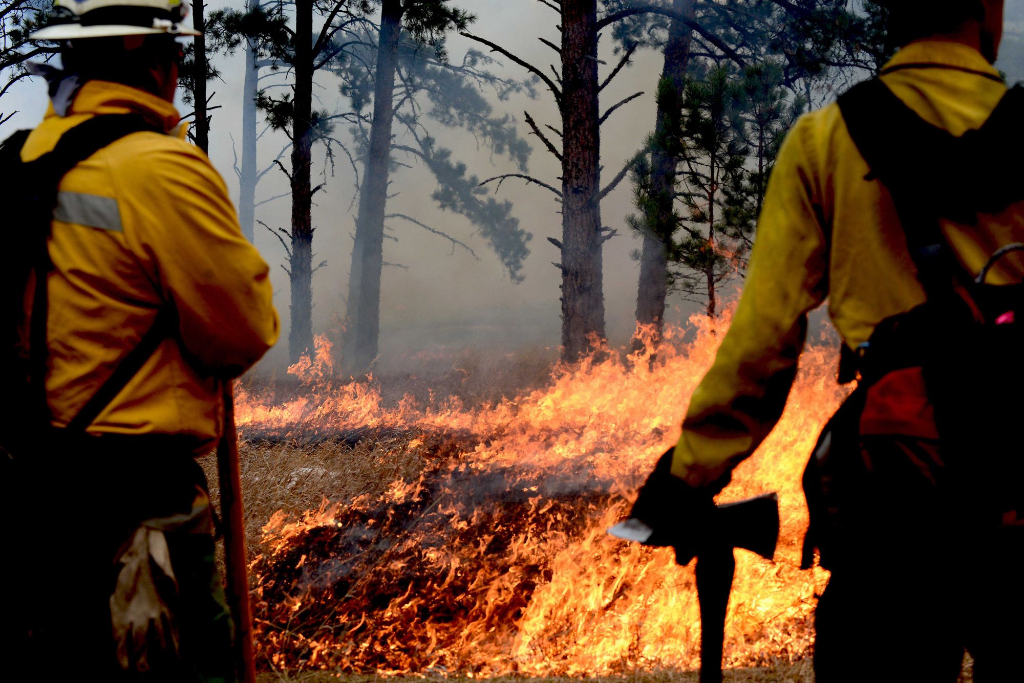 Saturday Links: Kincade Fire Contained At 72 Percent, A Quake Shakes Sonoma County