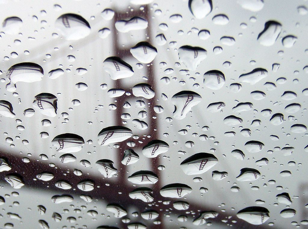 Sunday Links: A Rainy Holiday Awaits