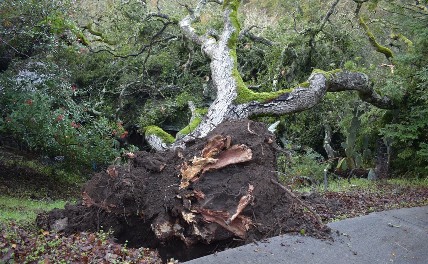 Day Around the Bay: SF State Shut Down By Bomb Threat