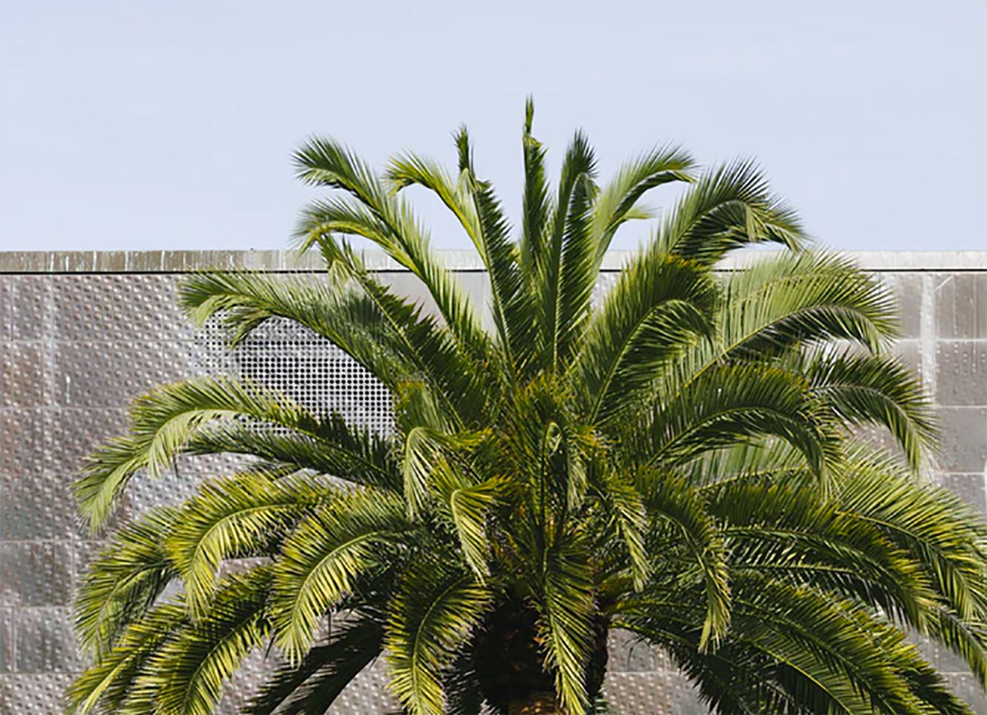 Day Around the Bay: A Chill Sets In