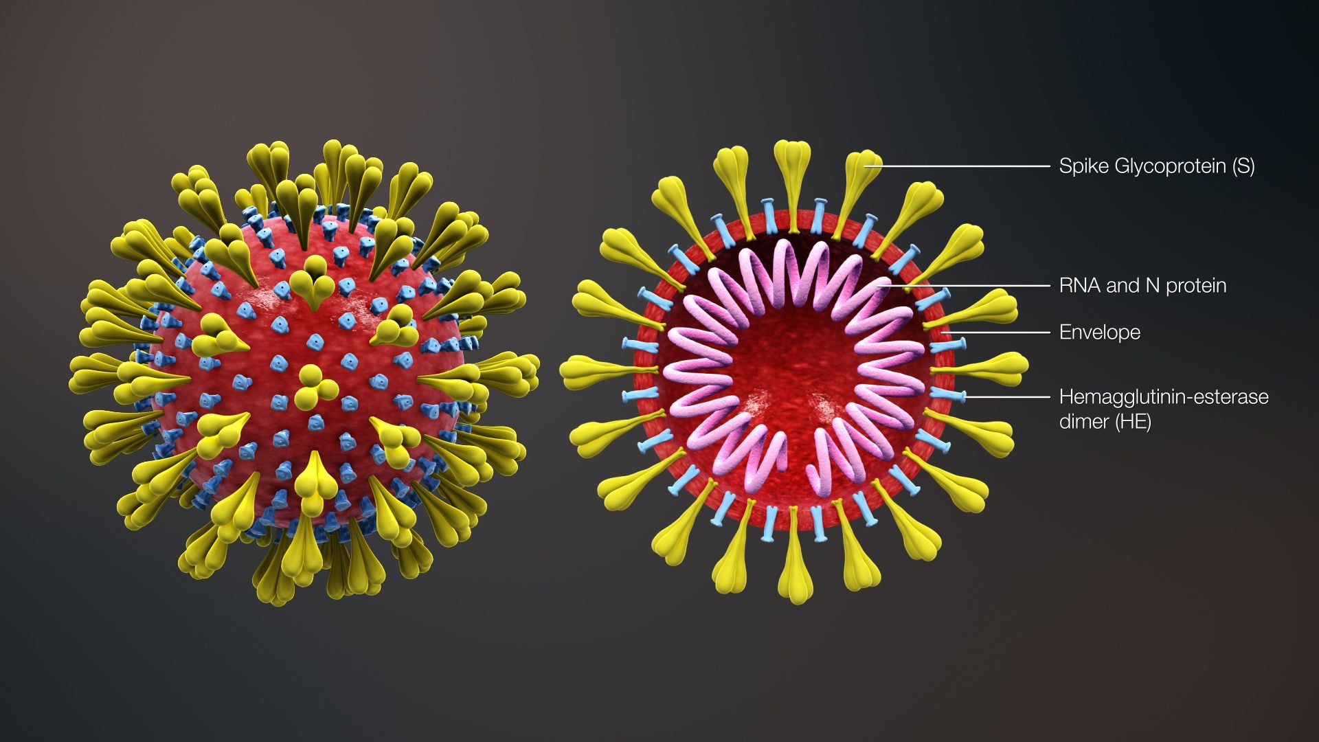 Two More Coronavirus Cases Confirmed in NorCal, Plus One More Suspected