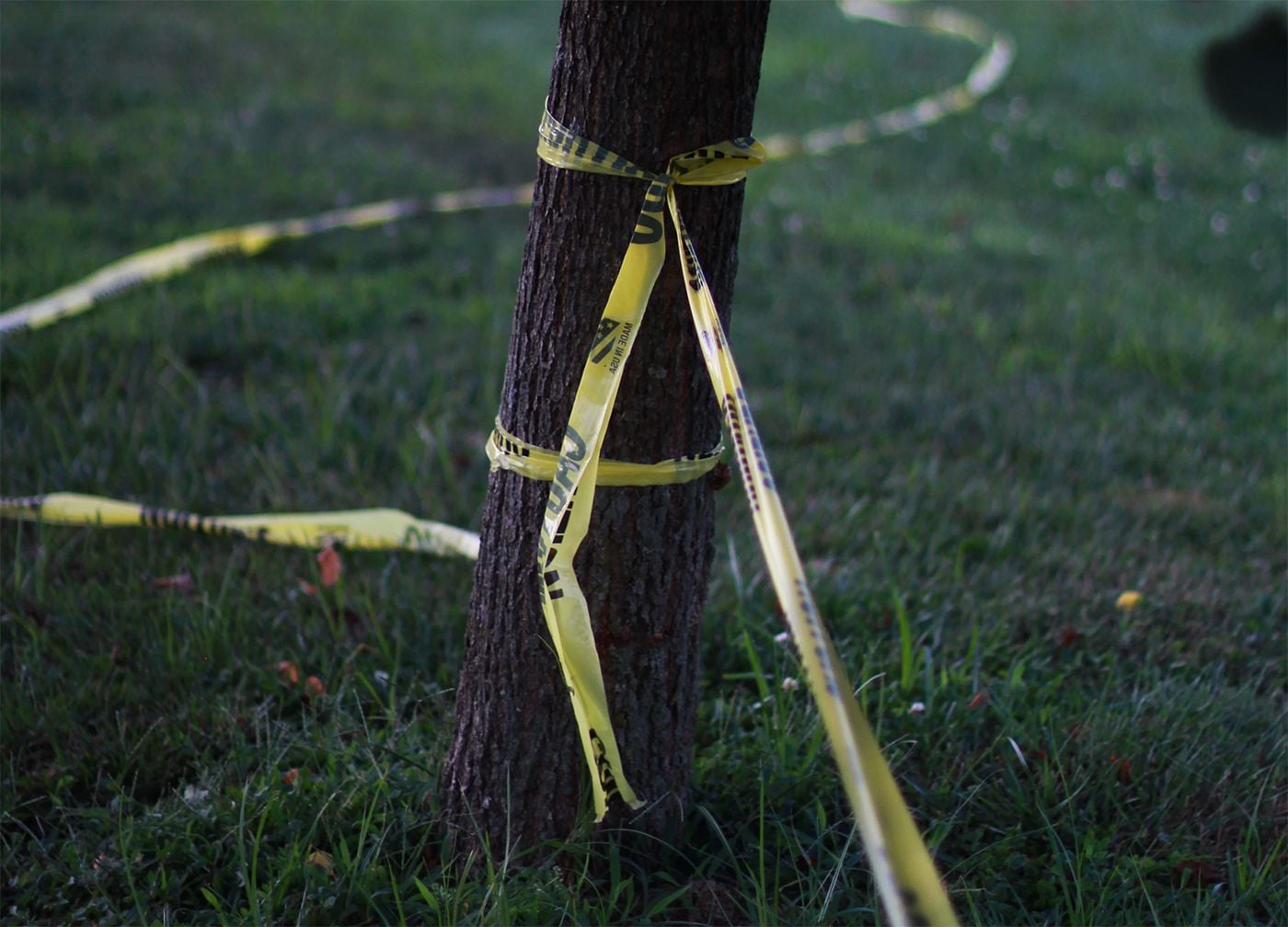 18-Year-Old In Concord Confesses To Killing His Mother