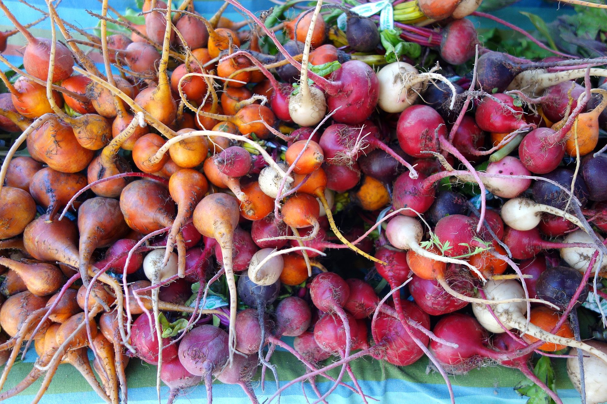 Photos: Vendors at Ferry Plaza Farmers Market Sell Fresh Produce — From a Distance