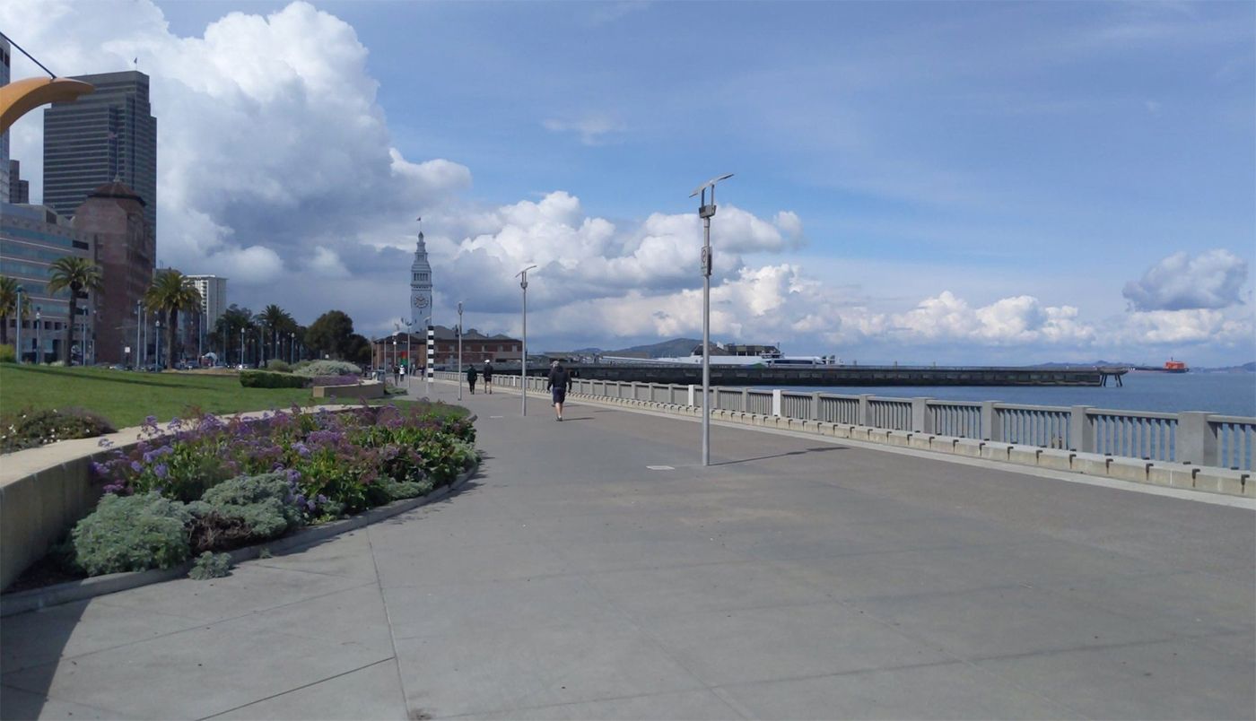 San Franciscans Are Going to Dog Parks and Jogging on the Embarcadero and CNN Is Pissed