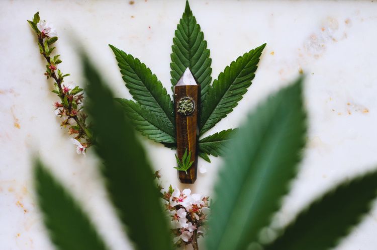 15 Best Marin Cannabis Delivery Dispensaries to Order in 2020 - Vimarsana News