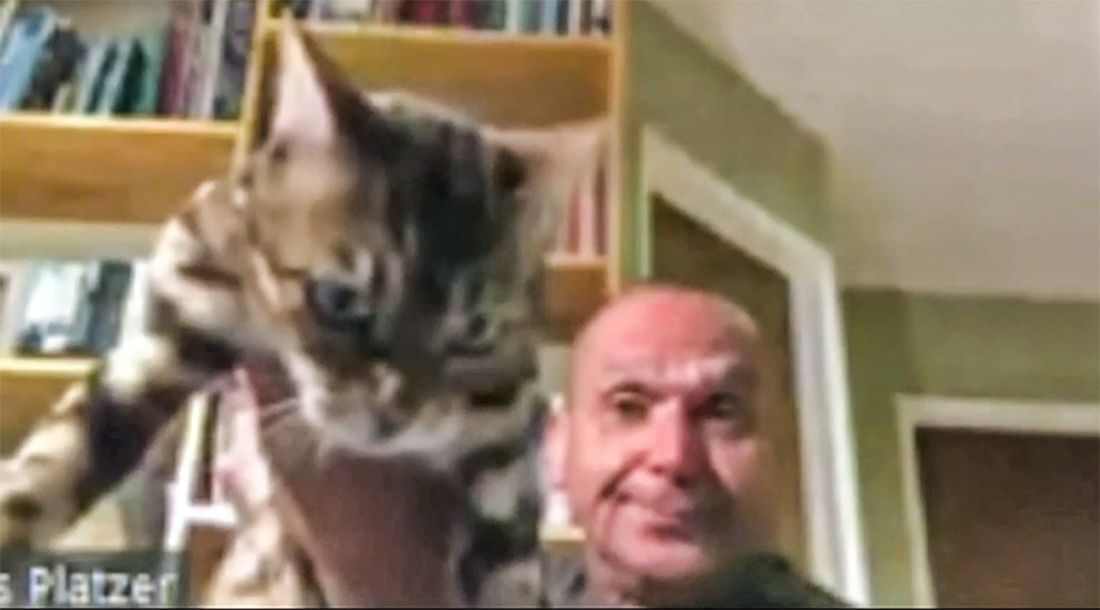 Vallejo Planning Commissioner Tosses Cat During Zoom Conference, Resigns