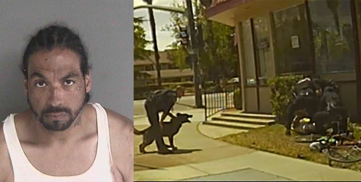 Transient Suspect Just Let Out of Jail Allegedly Attacks Three People at East Bay Safeway