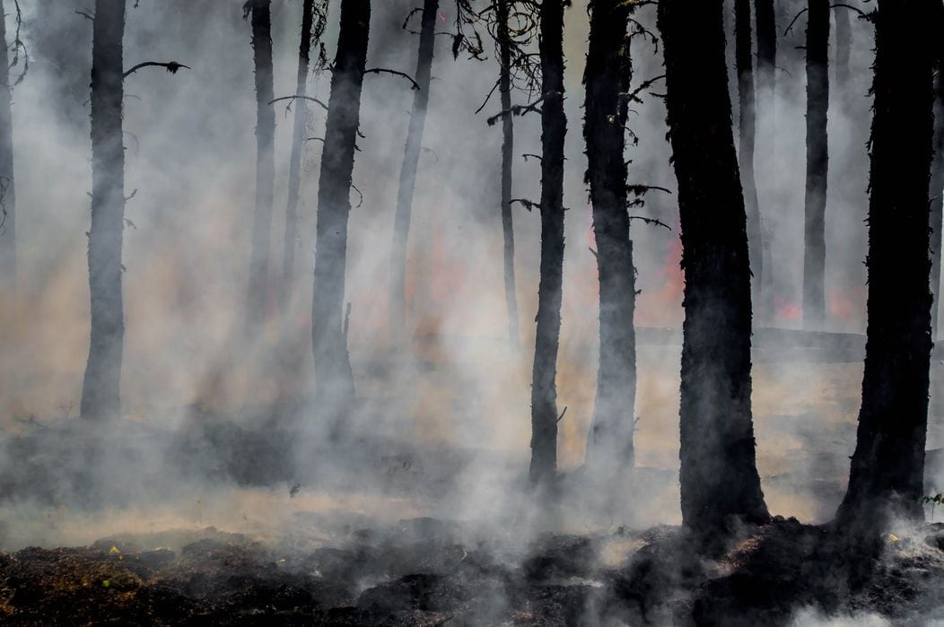 PG&E Claims Wildfire Victims Have ‘Overwhelming’ Support for Half-Cash, Half-Stock Settlement Deal