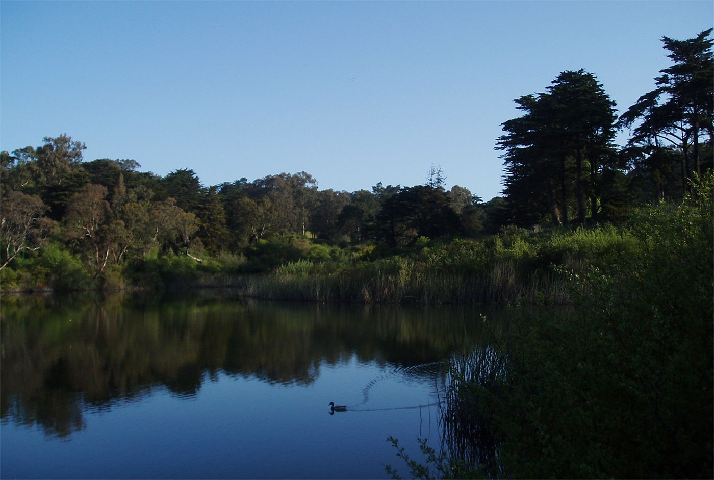 Body Found At Presidio's Mountain Lake