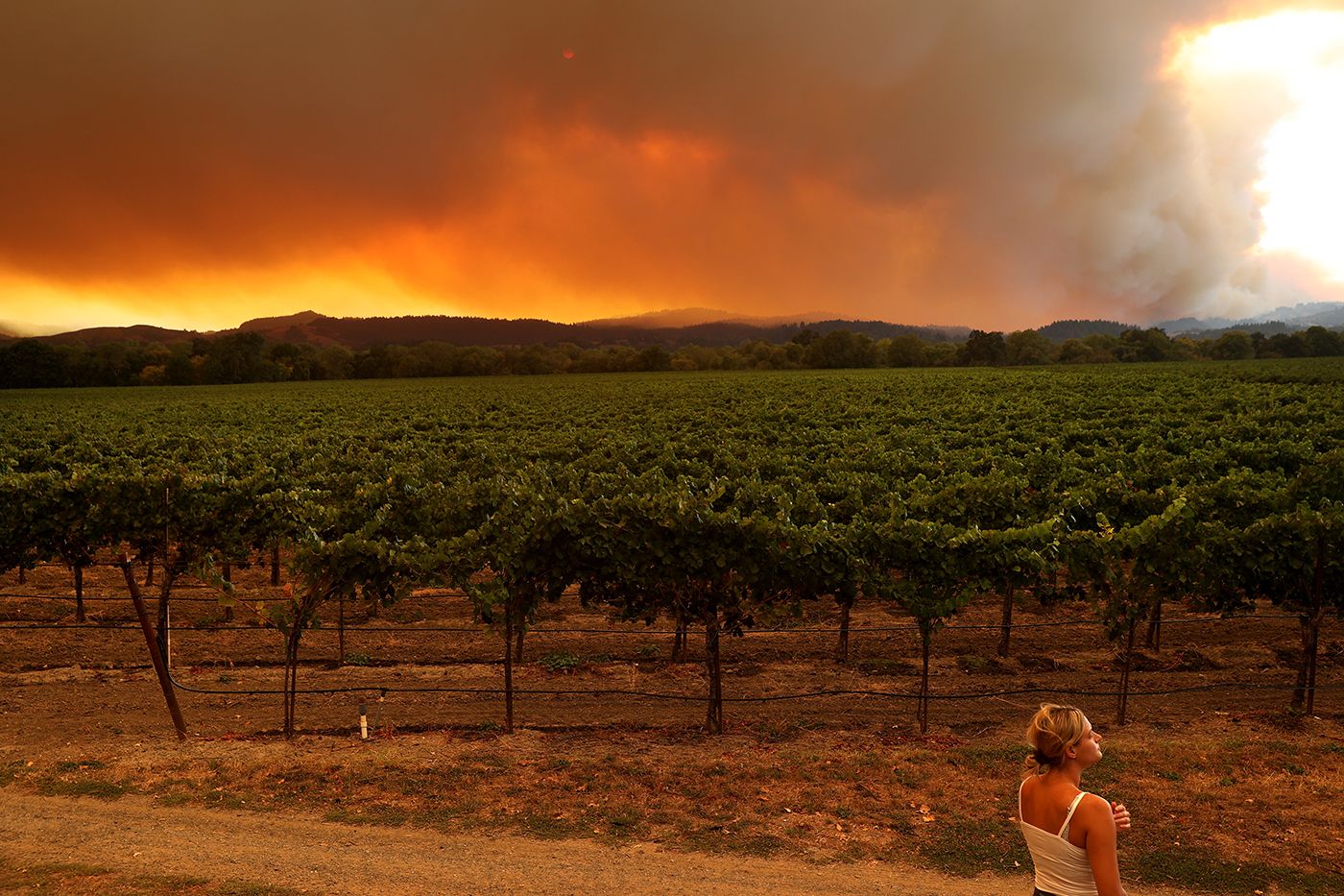 North Bay Fire Complex Grows to 344 Square Miles, Claims Five Lives