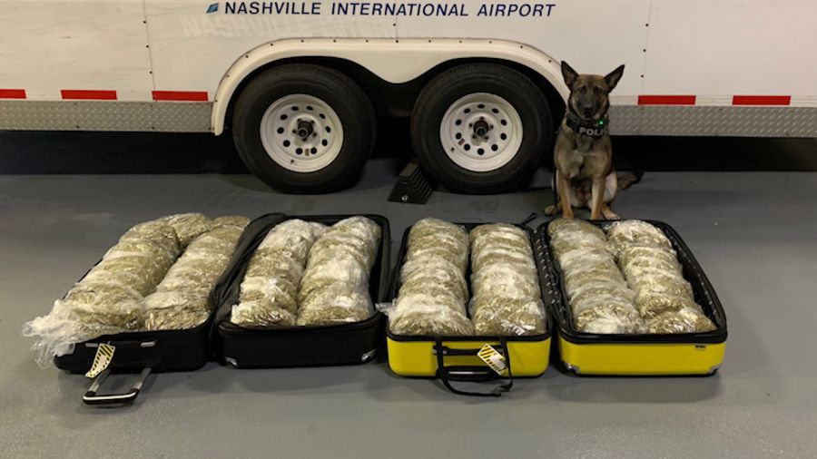 Local Man Allegedly Flies to Nashville With 87 Pounds of Marijuana, Predictable Result Ensues