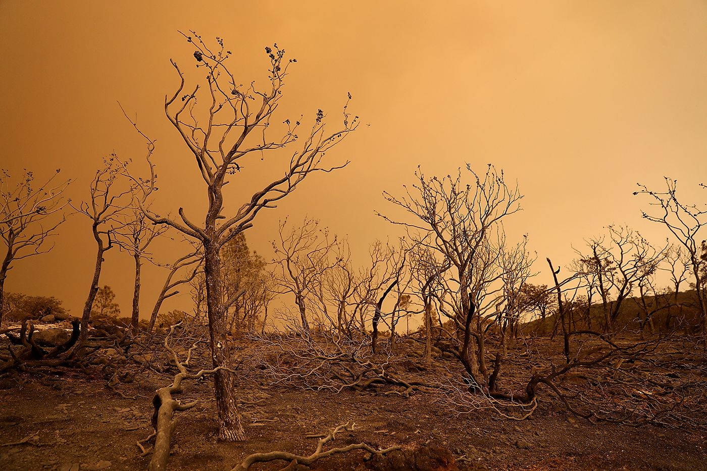 'Records Will Continue To Be Broken': Mendocino Fire Has Now Leaped Ahead of Bay Area Complexes In Size