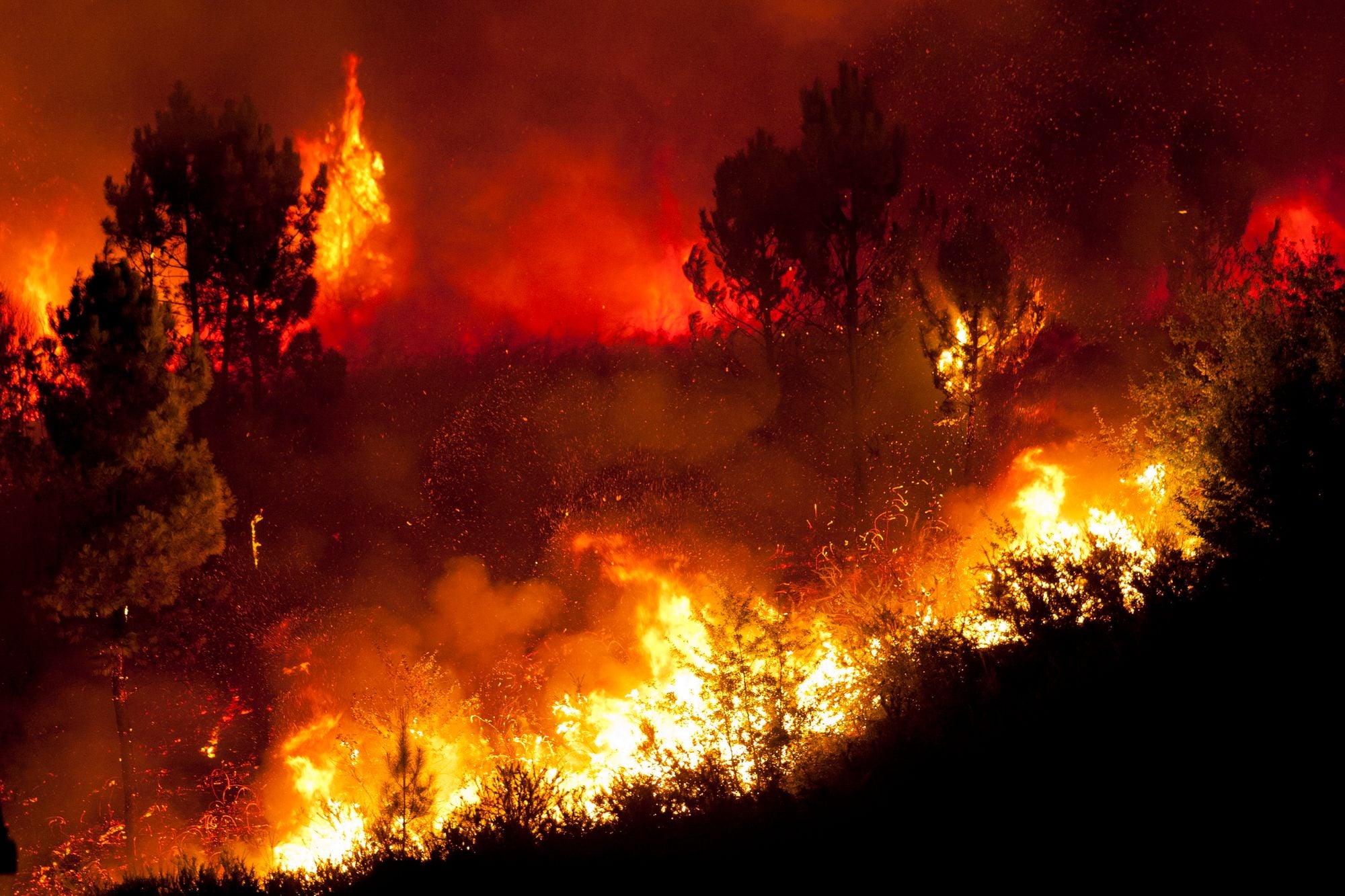 Sunday Links: Faulty PG&E Equipment Might Have Caused Zogg Fire