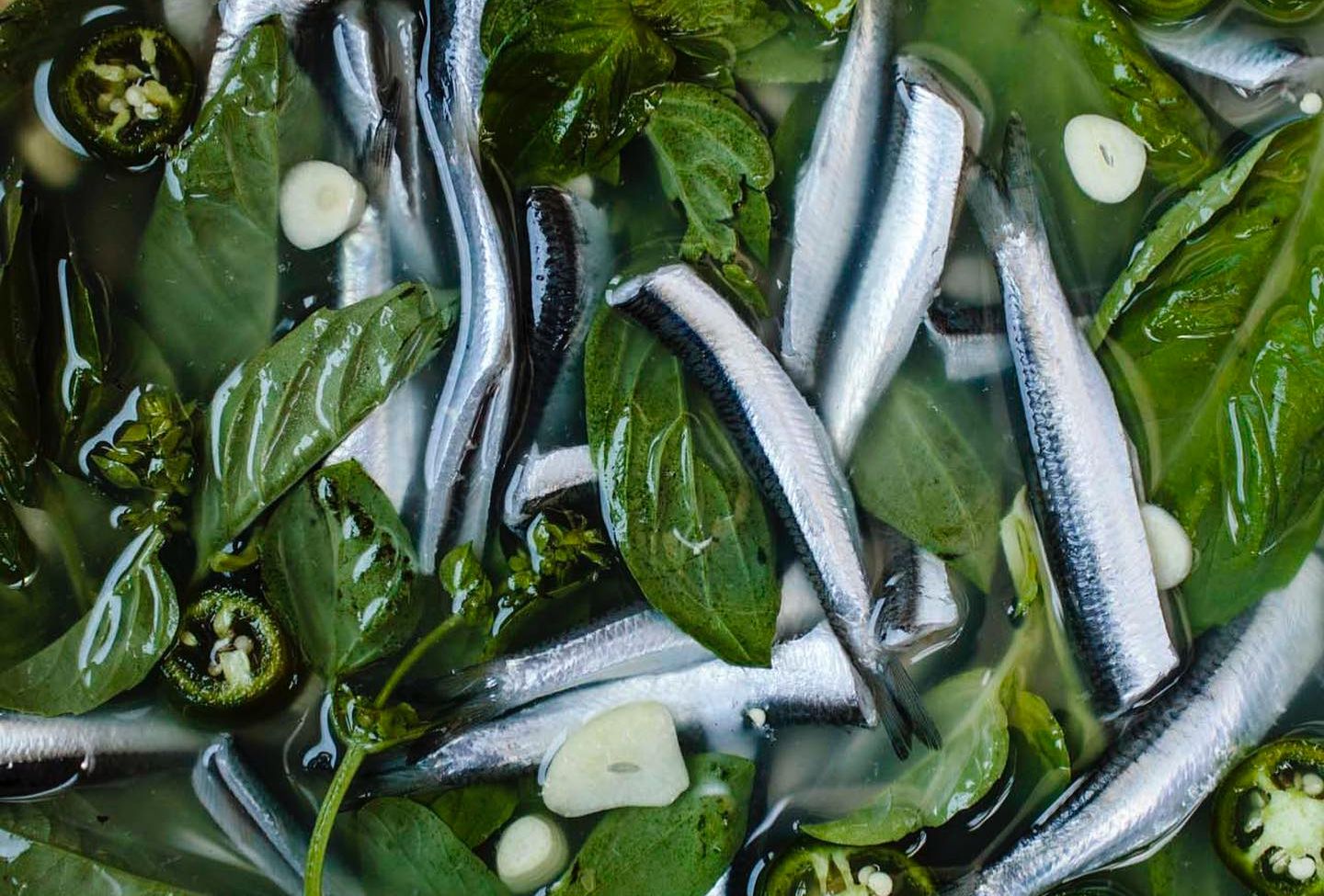 State Bird Spinoff The Anchovy Bar Opens In the Fillmore