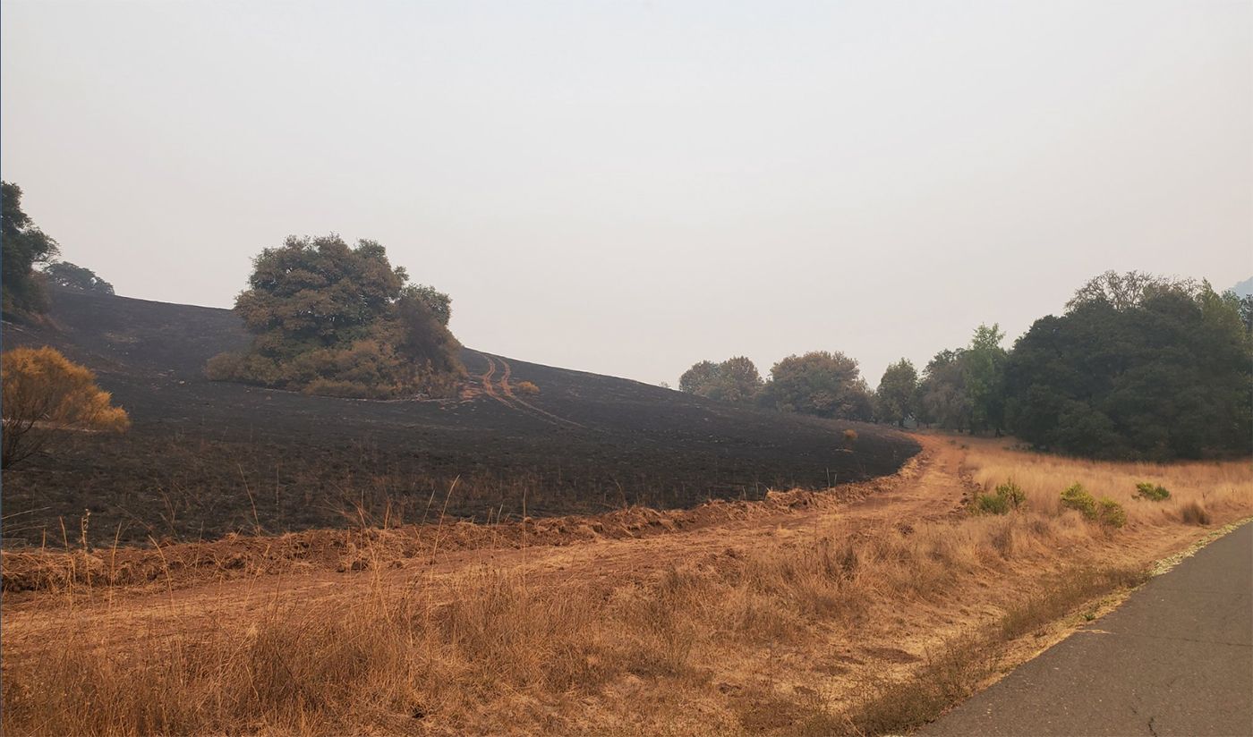 Firefighters Still Bracing For High Winds After Calm Night Fighting Glass Fire; Containment Reaches 6 Percent