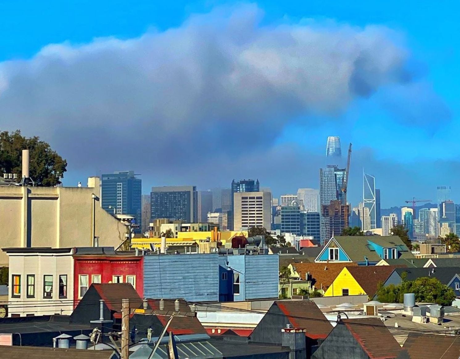 Day Around the Bay: Ninth Circuit Says Census Count Should Continue