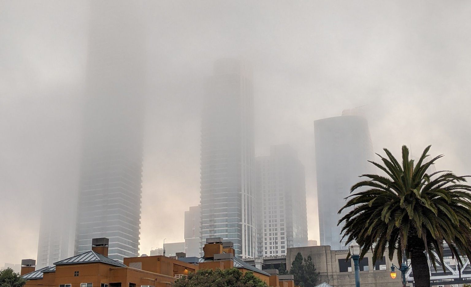 Karla the Fog Steps In as Unofficial Twitter Replacement After Karl Goes Quiet