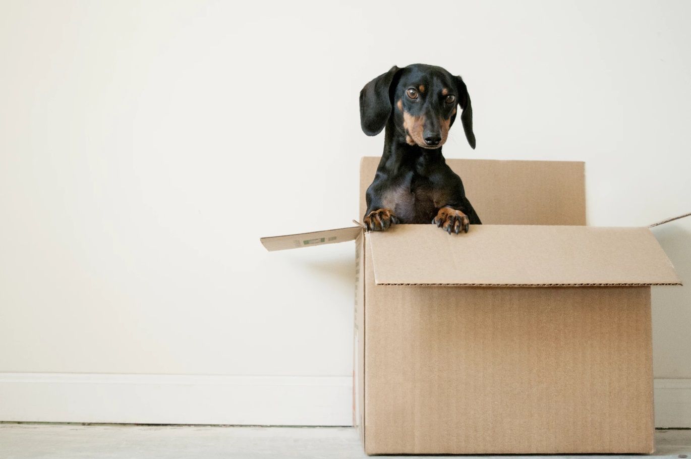 13 Best Movers / Moving Companies in SF