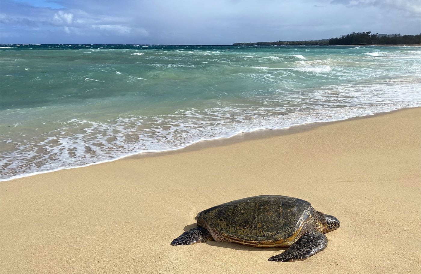 San Francisco Woman Jailed and Fined for Not Properly Quarantining In Hawaii