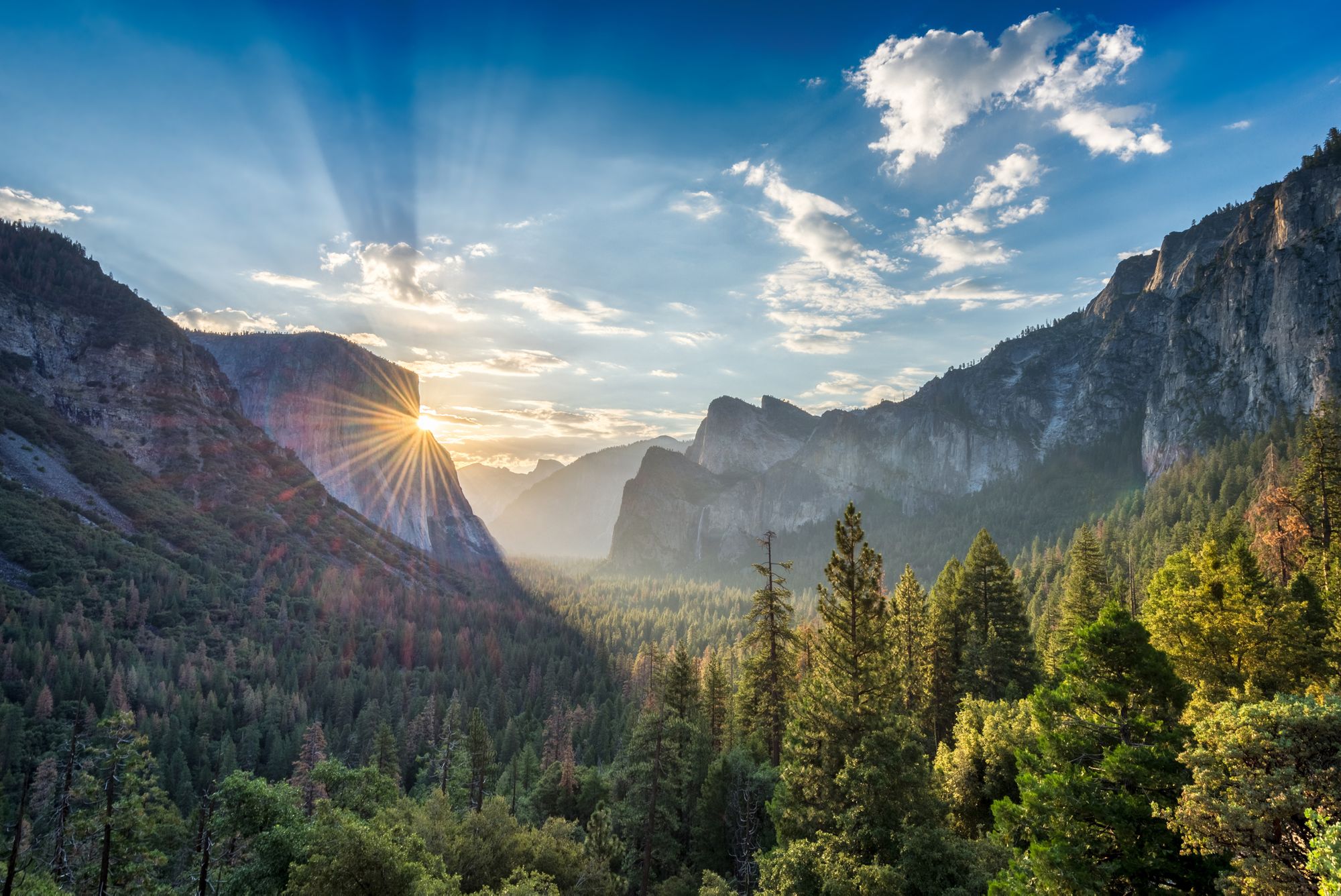 Yosemite Could Reopen Tomorrow; Mariposa Grove Still Closed After Sustaining Wind Damage