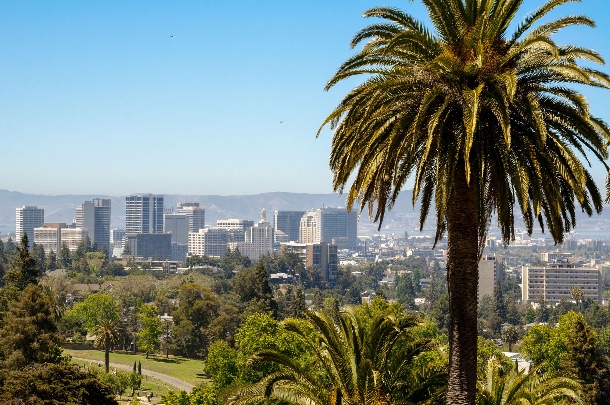 Saturday Links: Oakland Teachers Will Soon Be Eligible To Receive COVID-19 Vaccines