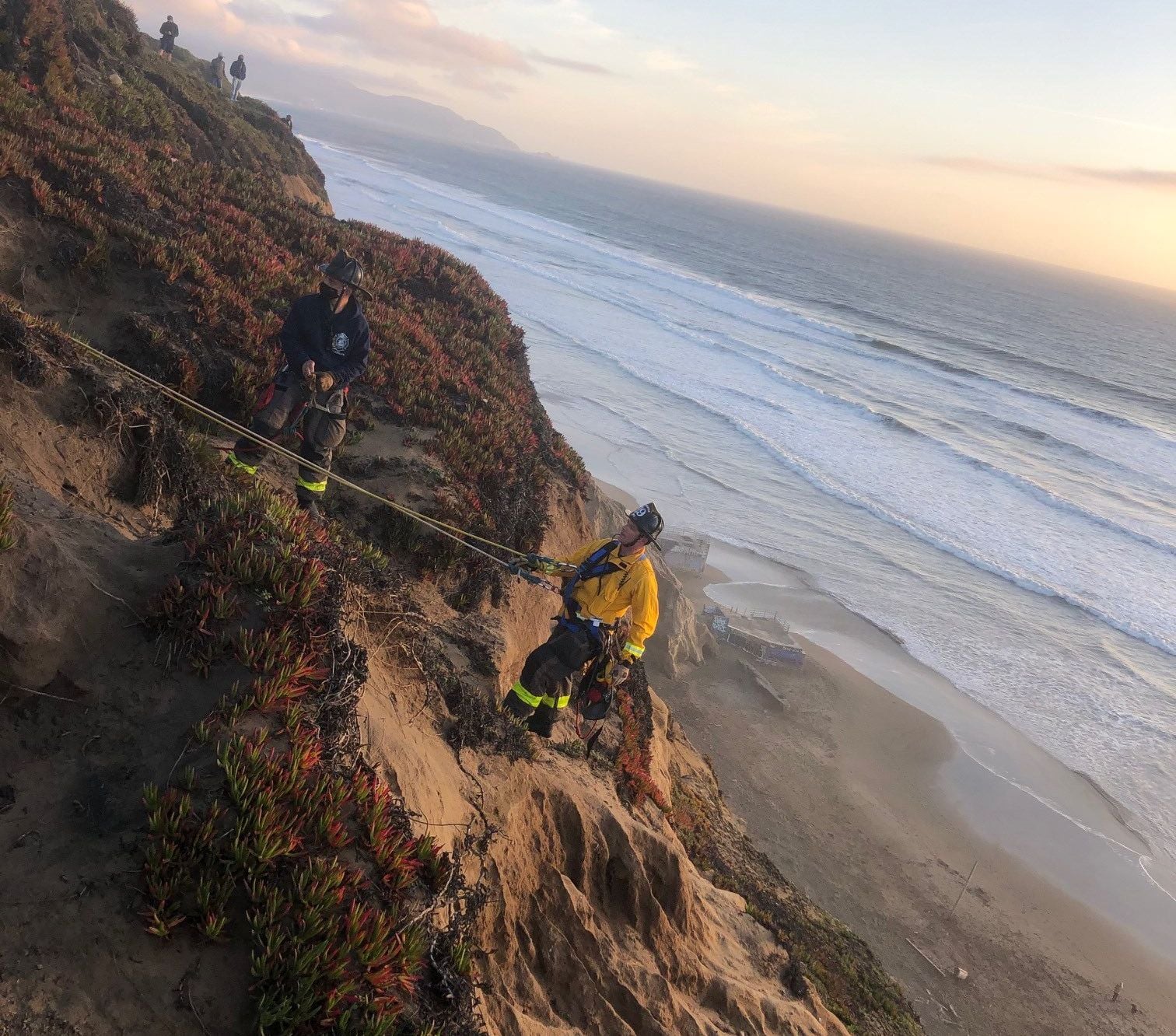 Black Labrador Rescued From Cliff at Fort Funston by SF Firefighters