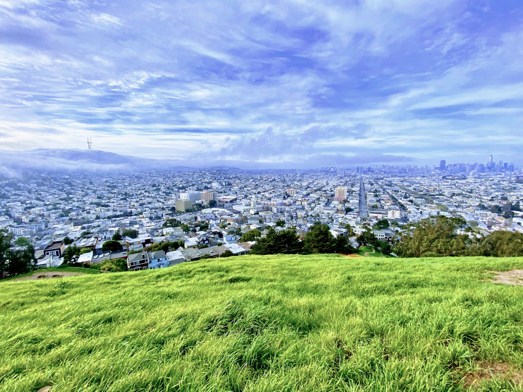 Saturday Links: Hundreds Attend Virtual Protest Condemning CCSF Layoffs, Budget Cuts