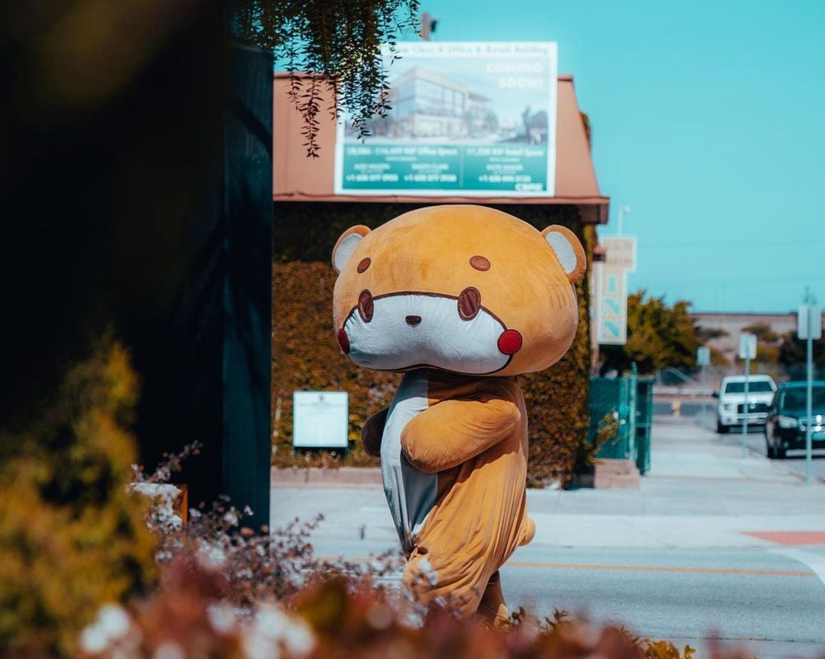 The Guy Dressed in a Head-to-Toe Bear Costume Has Finally Made it to San Francisco
