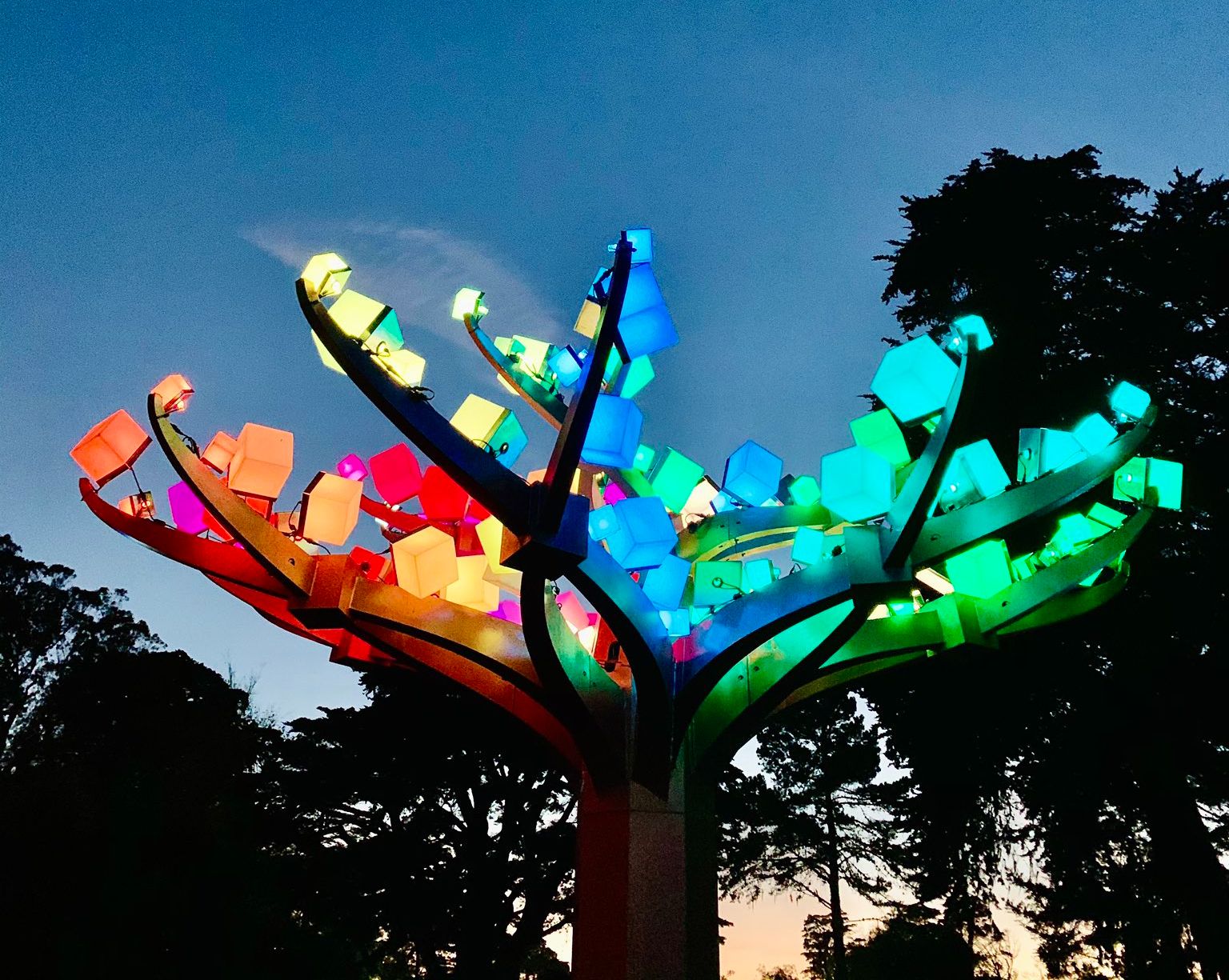 Reminder That This Is the Last Weekend to See 'Entwined' at Golden Gate Park