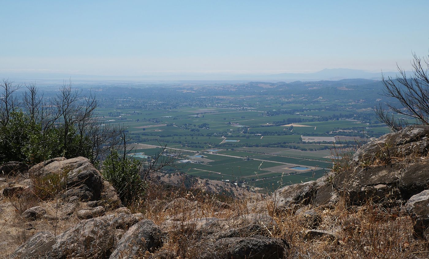 Humpday Headlines: Napa Suddenly Has More Vaccine Shots Than People Who Want Them