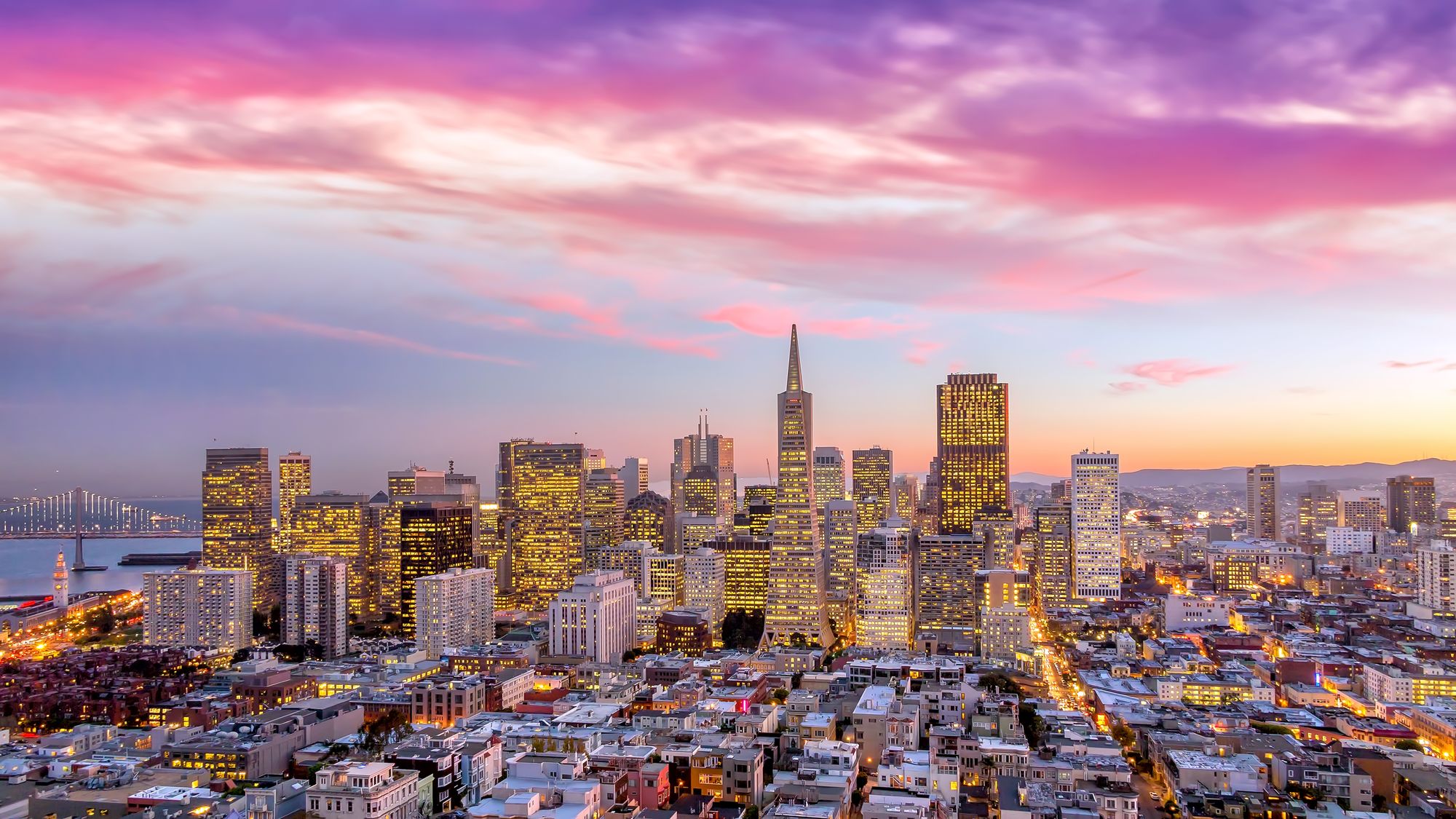 Day Around the Bay: SF's Largest Convention This Year Gets Scrapped