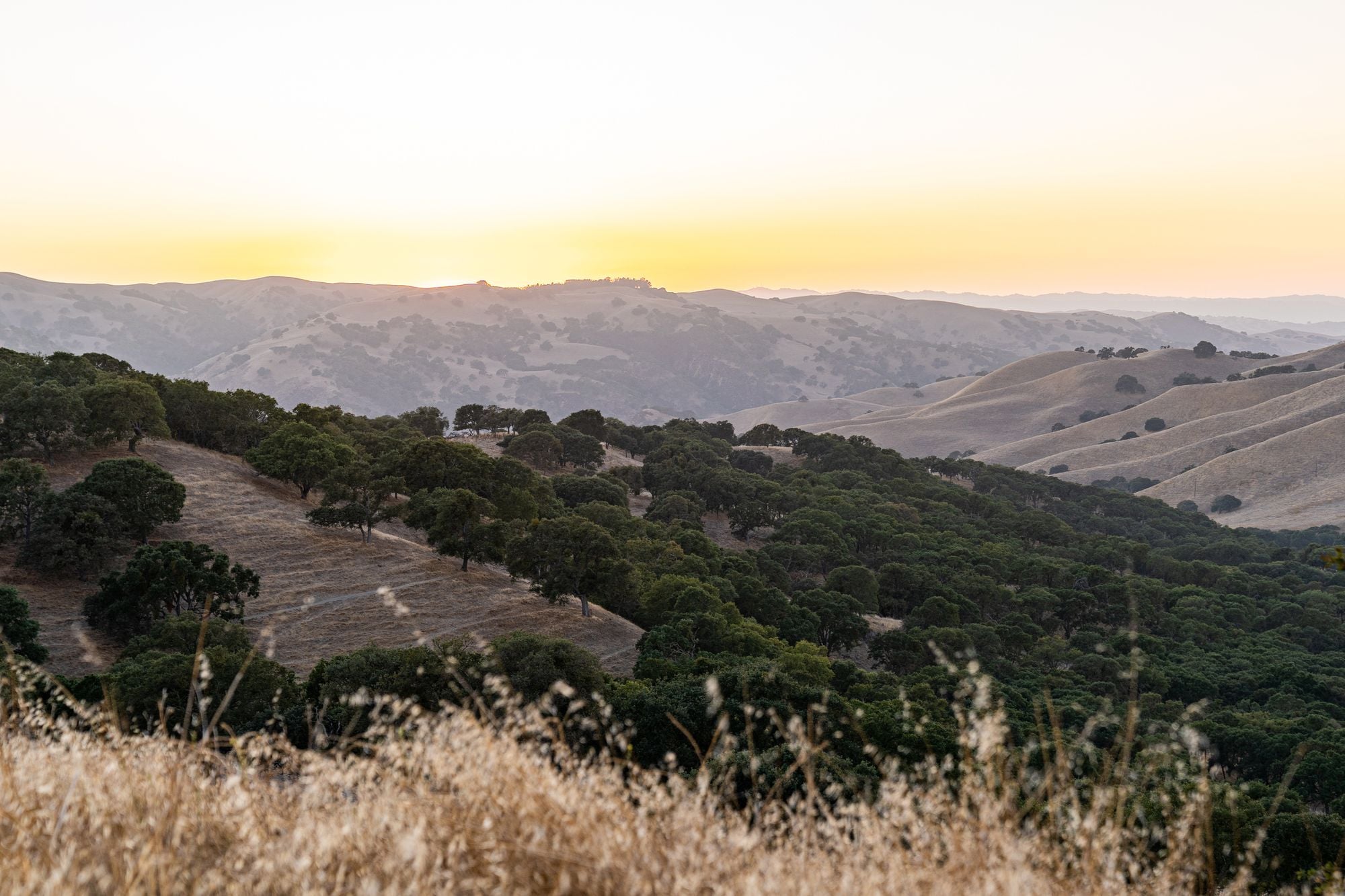 Red Flag Warning for North and East Bay Hills Extended to Tuesday Night