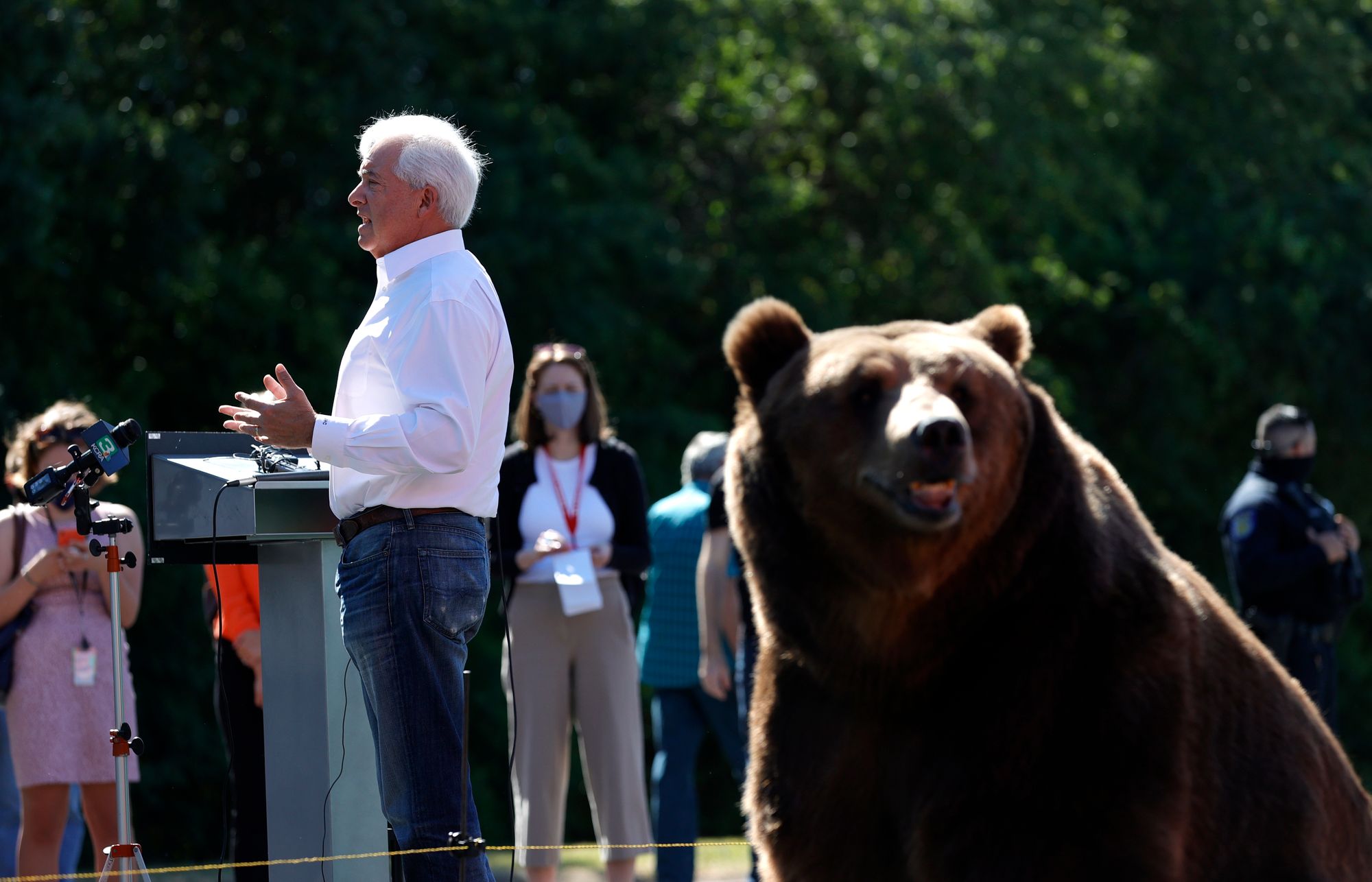 ‘Bear Guy’ Recall Candidate John Cox Leads All Challengers — With a Whopping 9%