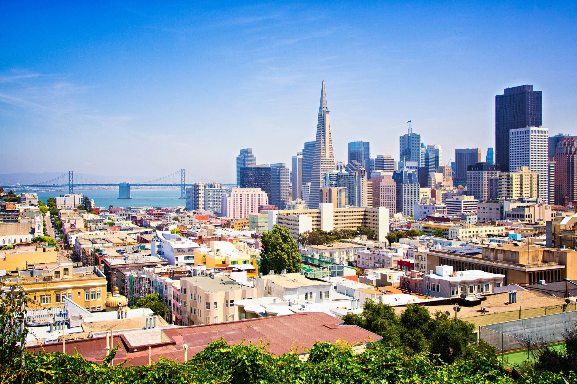 Mother's Day Headlines: San Francisco Businesses See Uptick in Sales Amid Yellow Tier Status