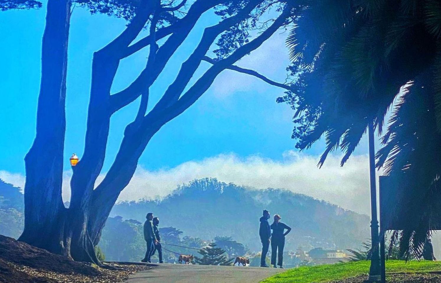 Day Around the Bay: San Mateo County Joins SF in 'Yellow' Tier