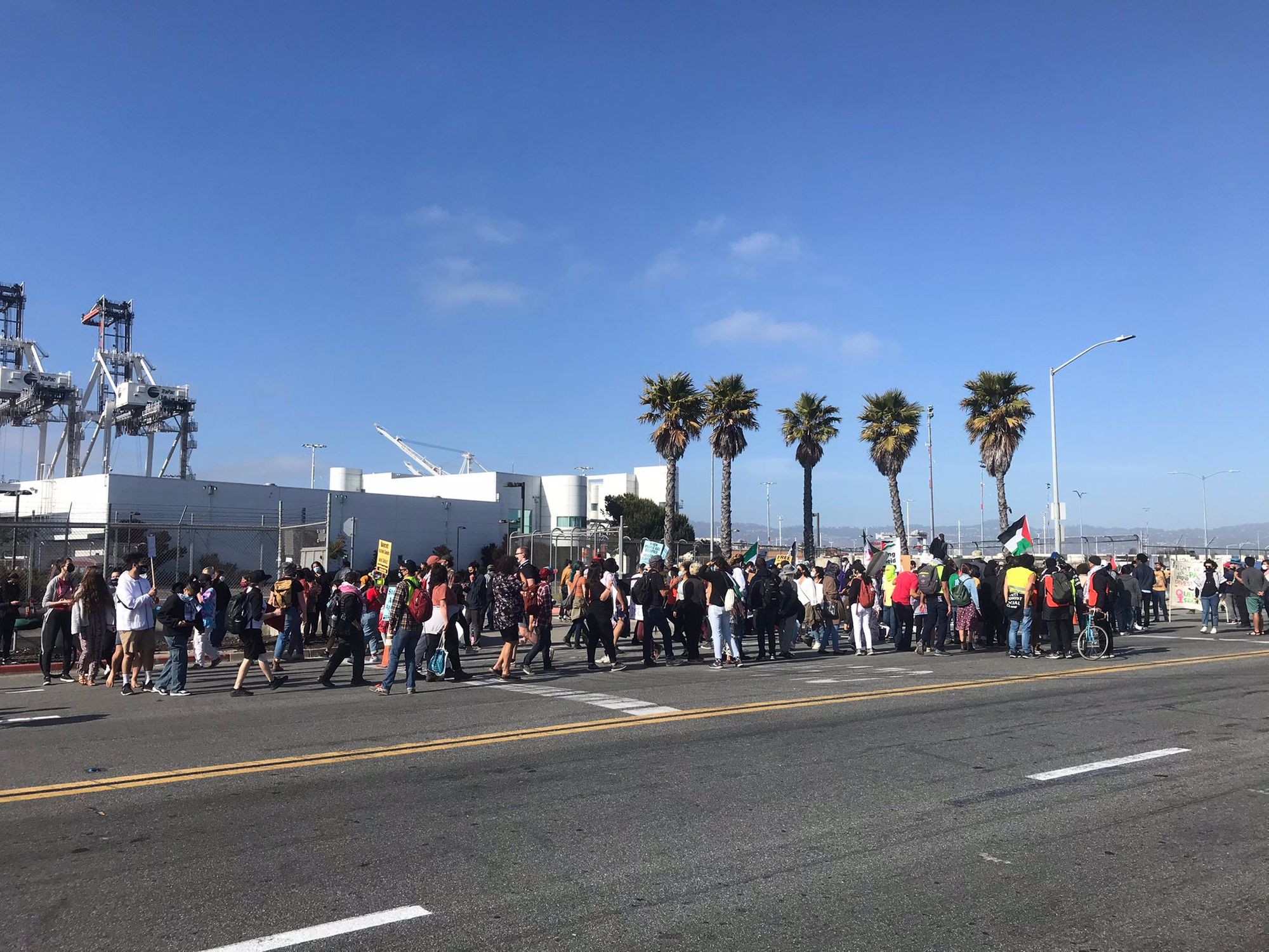 Day Around the Bay: Pro-Palestinian Demonstration Tries to Block Israeli Cargo Ship at Port of Oakland