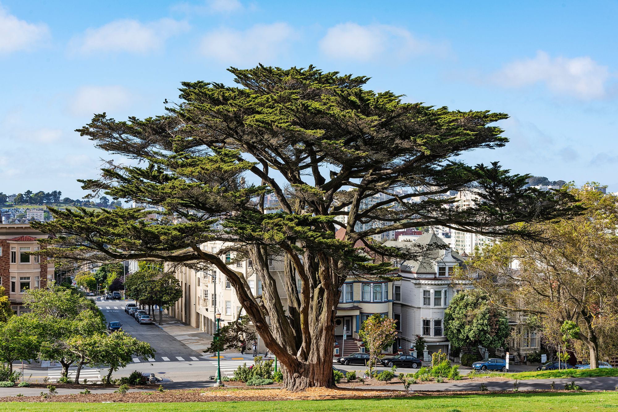Saturday Links: 3 Fires Broke Out in Berkeley Hills; SF BART Reopens All Entrances Closed During Pandemic