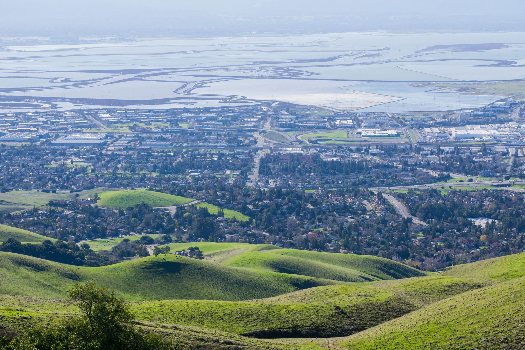 Father's Day Links: Power Restored to 50,000 East Bay Residents After Saturday Outage