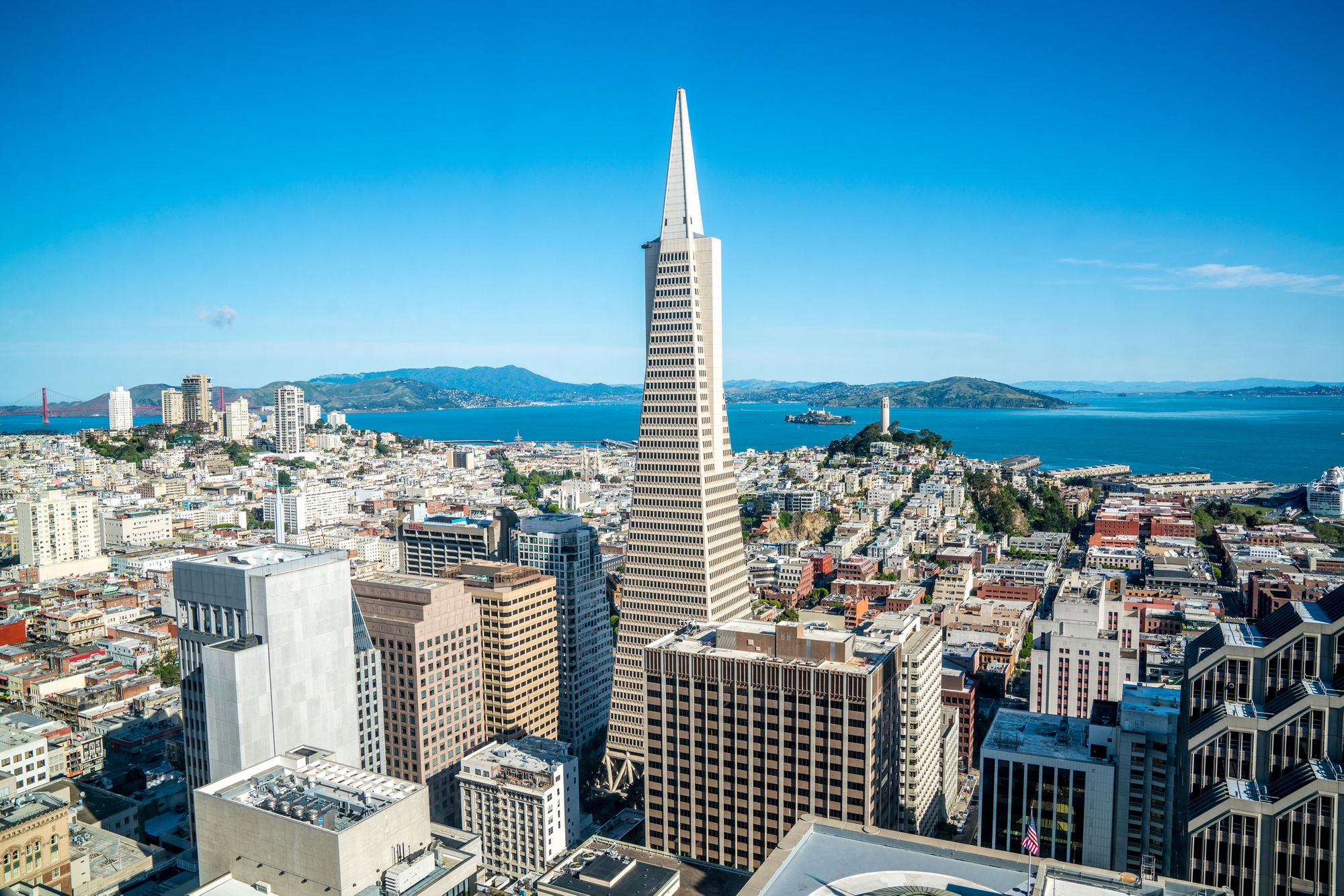 Saturday Links: San Francisco-Marin Food Bank Gave Out Twice as Much Food in 2020 as Prior Year