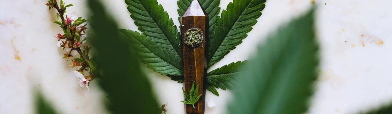 19 Best Cannabis Delivery Services to 'Medicate' in SF